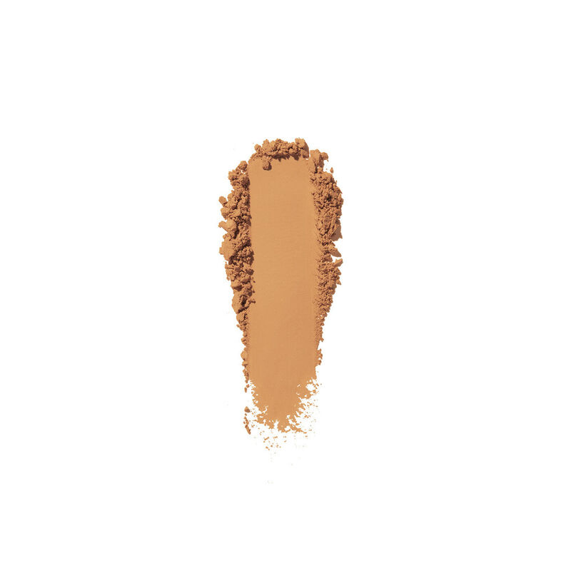 Shiseido Synchro Skin Self-Refreshing Custom Finish Powder Foundation image number 11